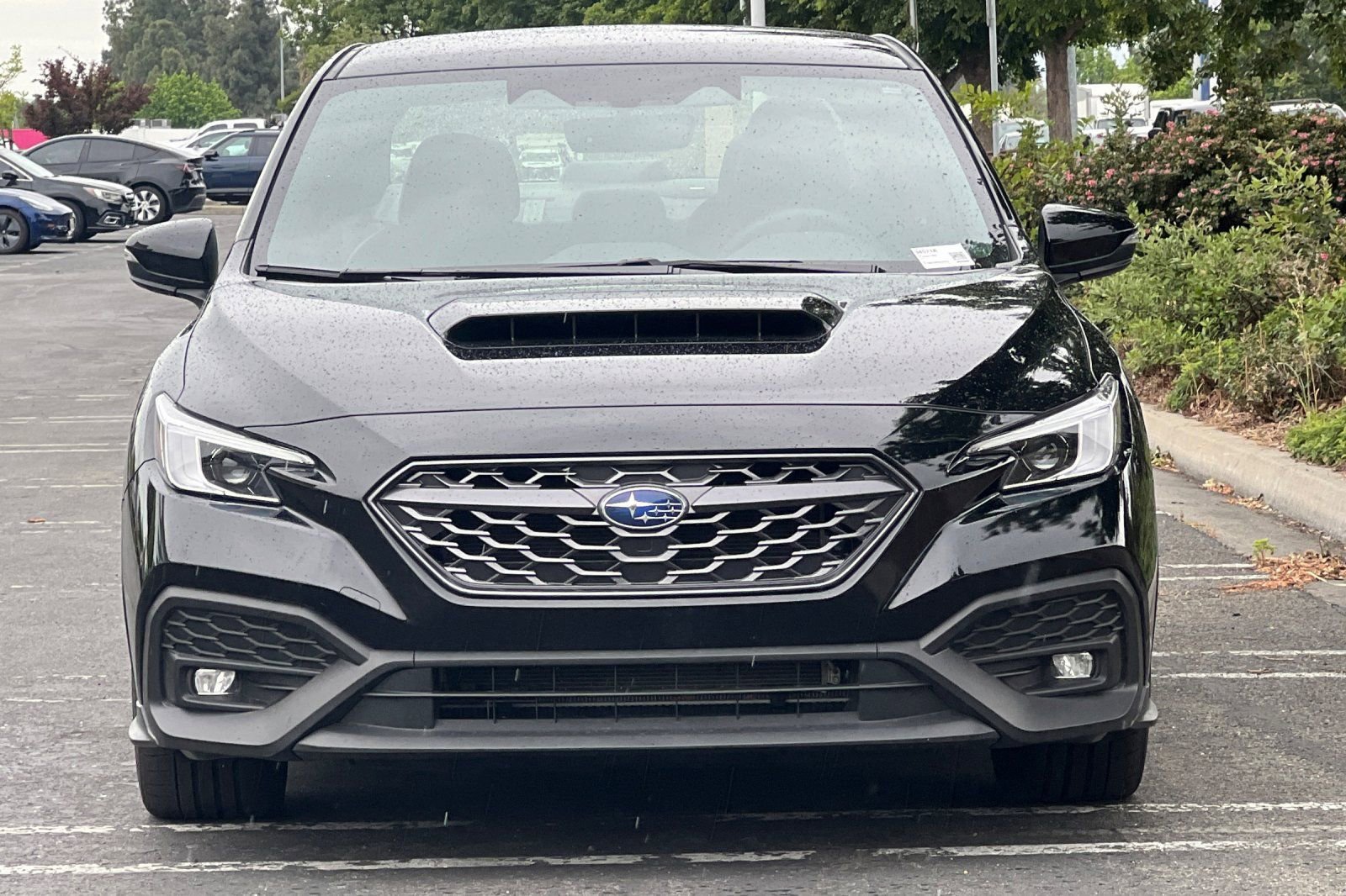 Used 2024 Subaru WRX TR image 9