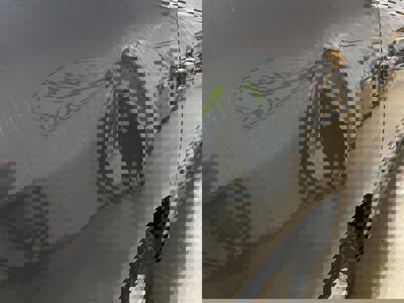 Used 2014 Chevrolet Impala Limited LS FWD image 7