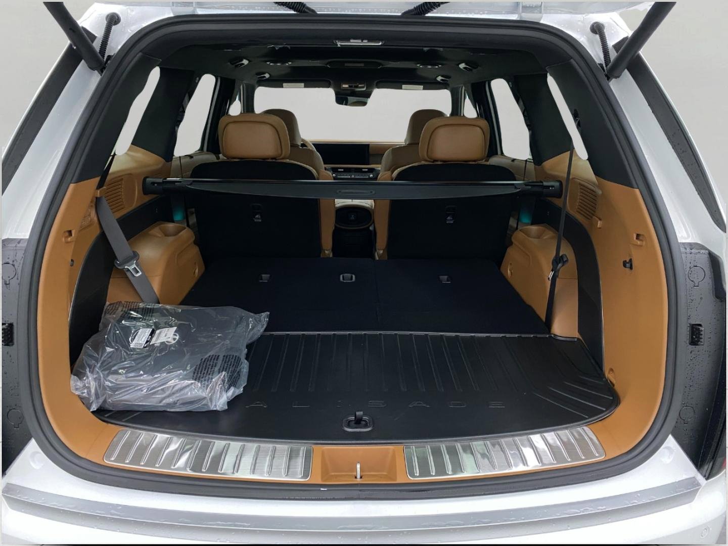 New 2026 Hyundai Palisade Calligraphy image 5