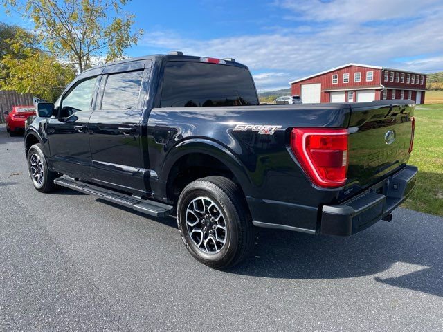 Used 2023 Ford F150 XLT w/ Equipment Group 302A High image 3