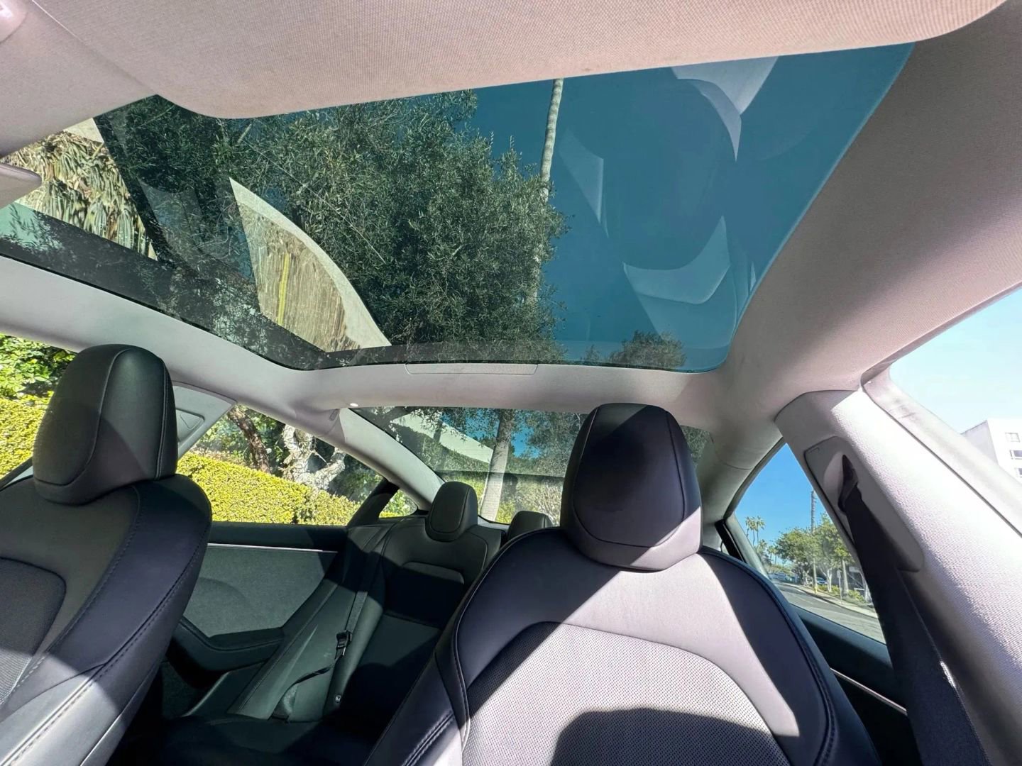 Used 2025 Tesla Model 3 Long Range RWD image 6