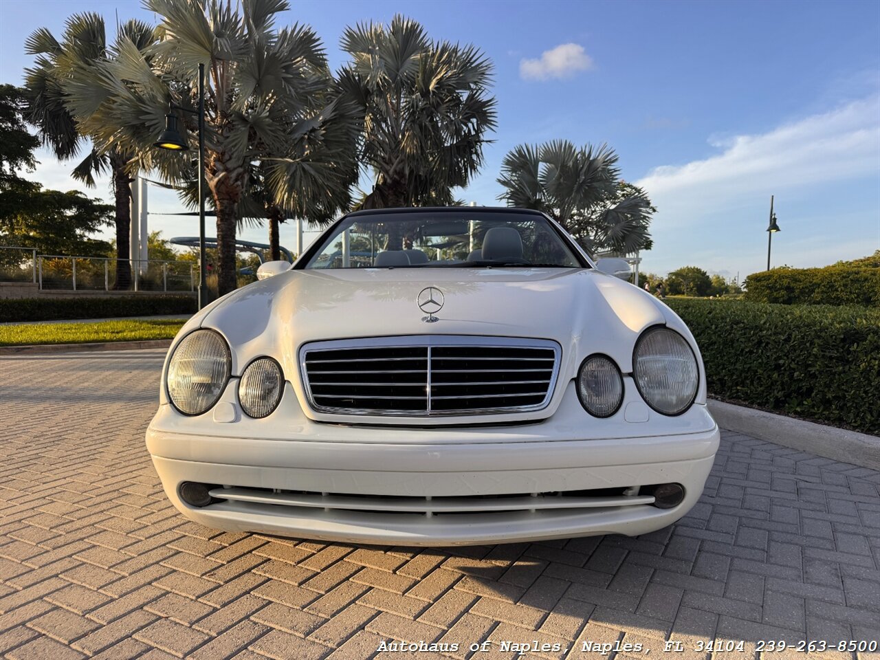 Used 2001 Mercedes-Benz CLK 430 Cabriolet image 7