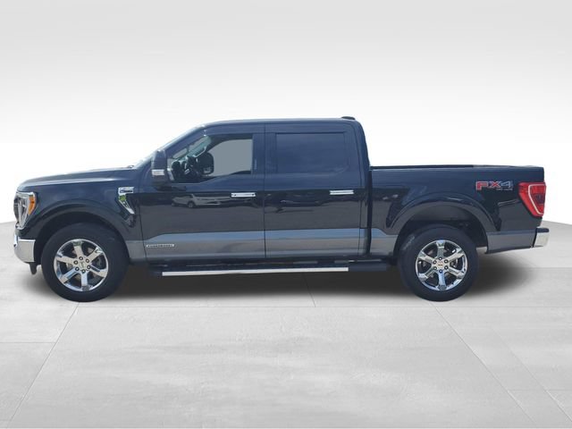 Used 2021 Ford F150 XLT w/ Equipment Group 302A High AWD/4WD image 7