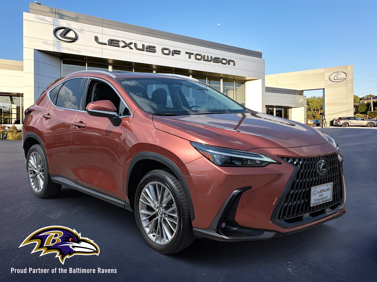 Certified 2025 Lexus NX 350h AWD w/ Cold Area Package image 1