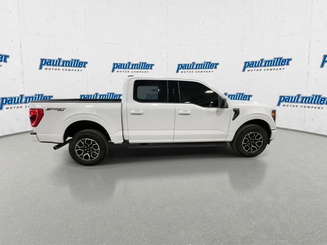 Used 2023 Ford F150 XLT w/ Equipment Group 301A Mid image 12