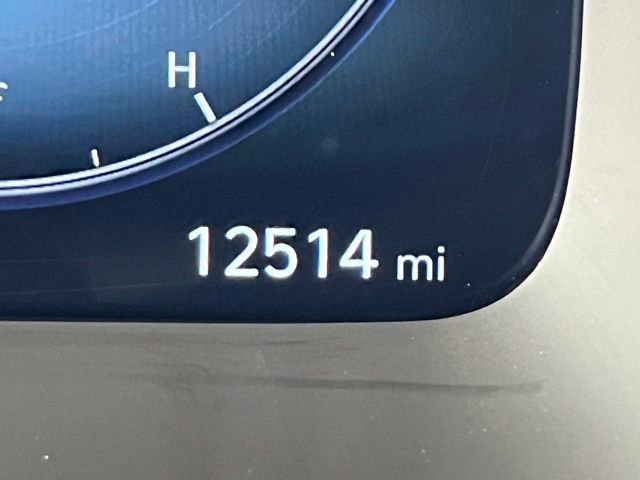Used 2024 Hyundai Palisade Calligraphy image 19