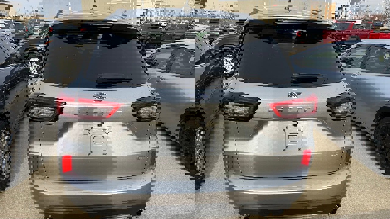 Used 2024 Ford Escape ST-Line image 4