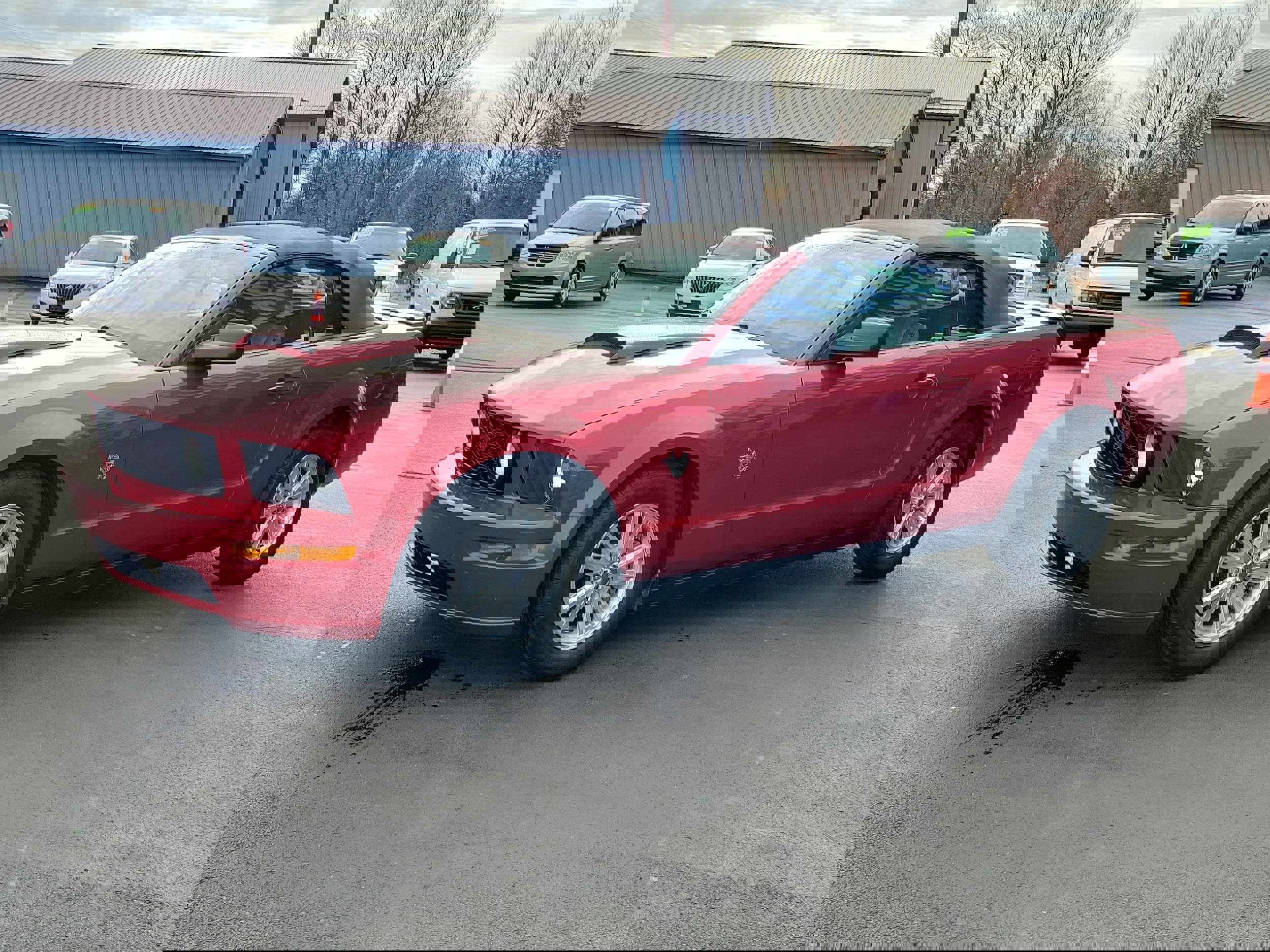 Used 2009 Ford Mustang Premium image 2