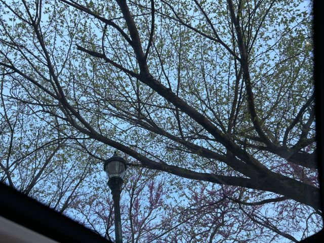 Used 2012 BMW 328i Sedan image 24