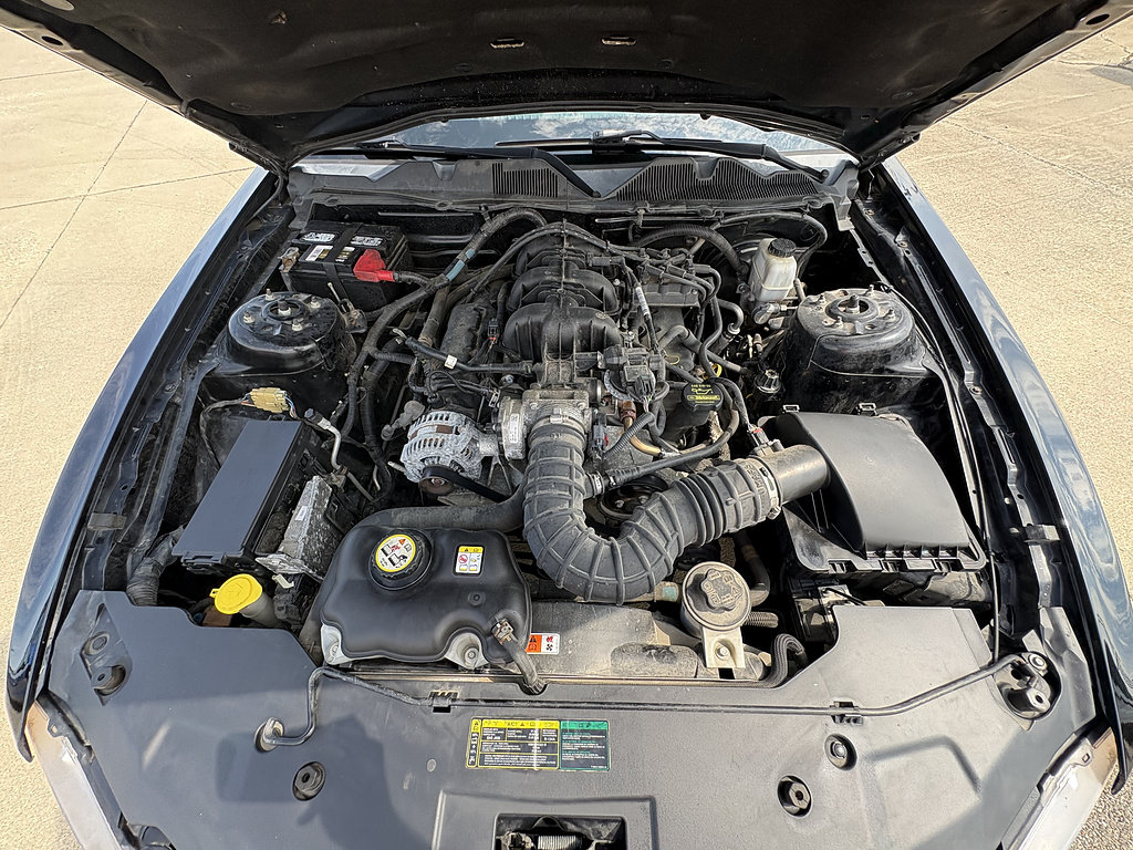 Used 2010 Ford Mustang Coupe RWD image 13