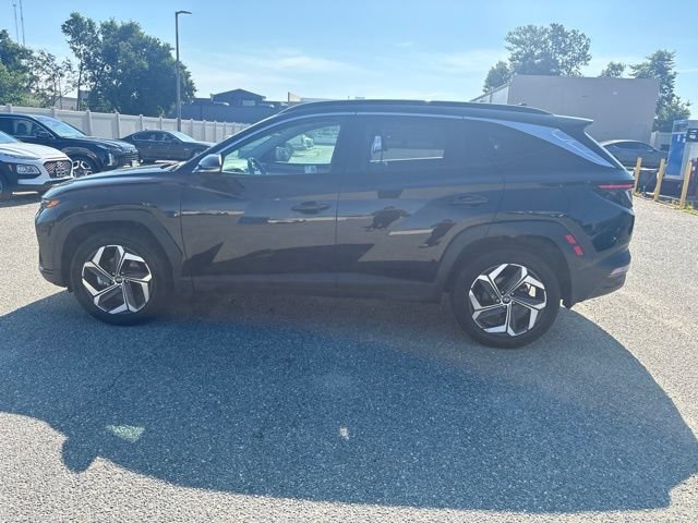 Used 2024 Hyundai Tucson Limited AWD/4WD image 1