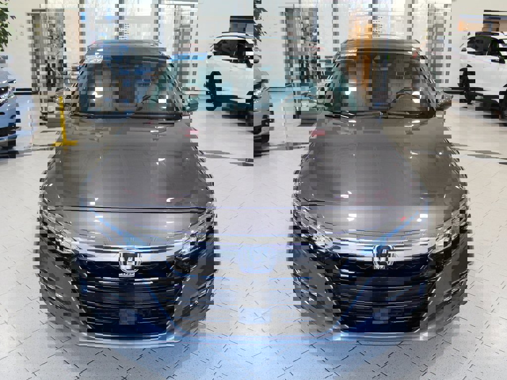 Certified 2019 Honda Accord EX-L image 2