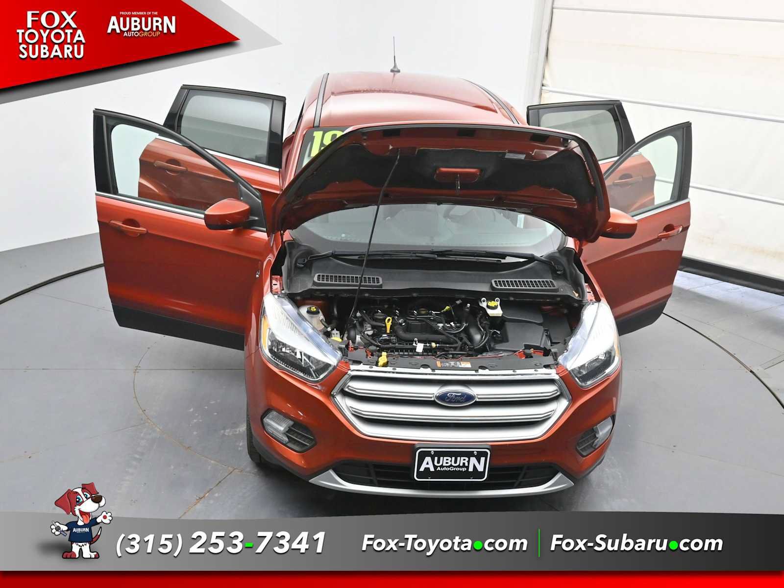 Used 2019 Ford Escape SE AWD/4WD image 40