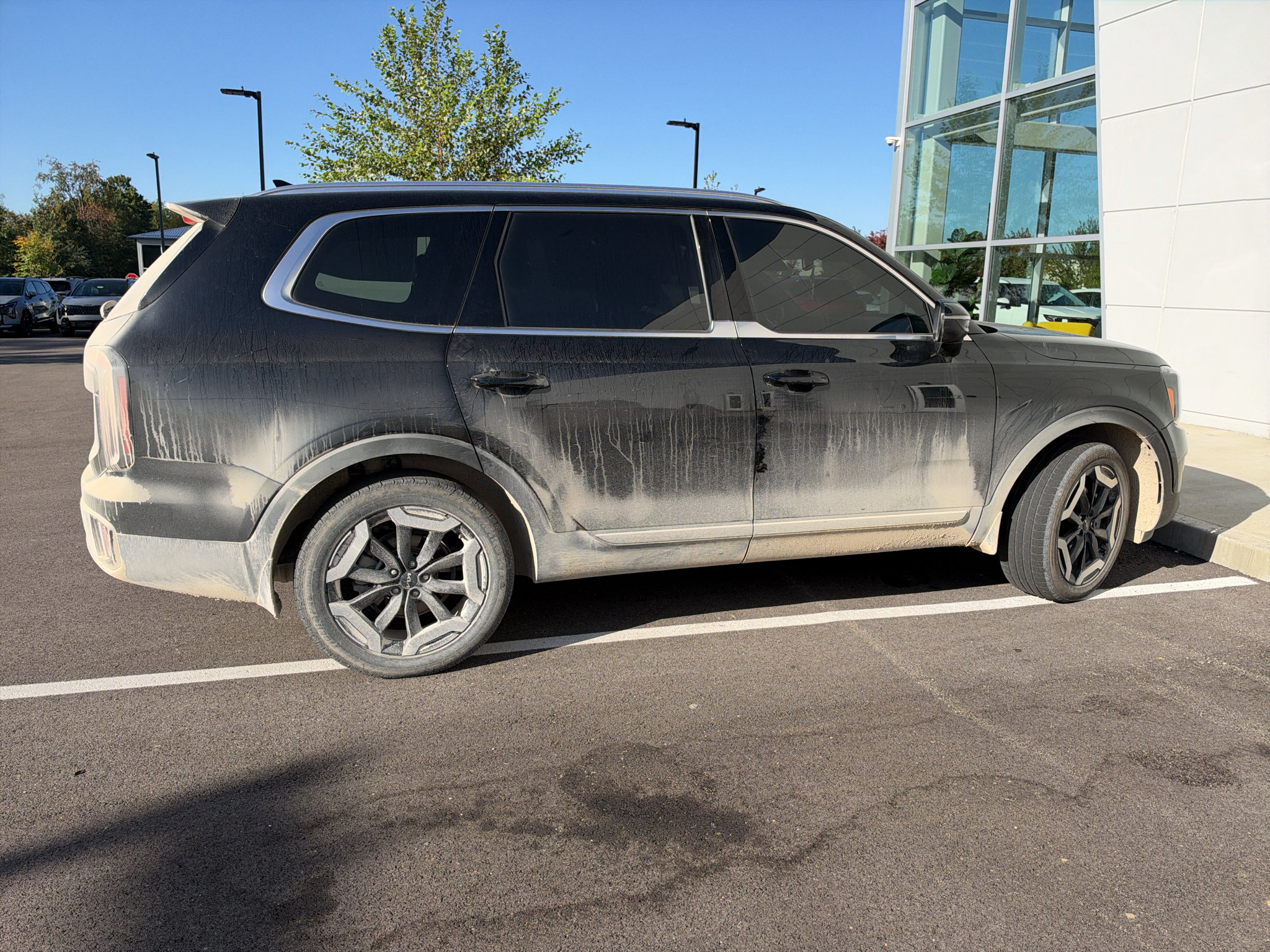 Used 2024 Kia Telluride EX w/ EX Captain's Chair Package FWD image 5