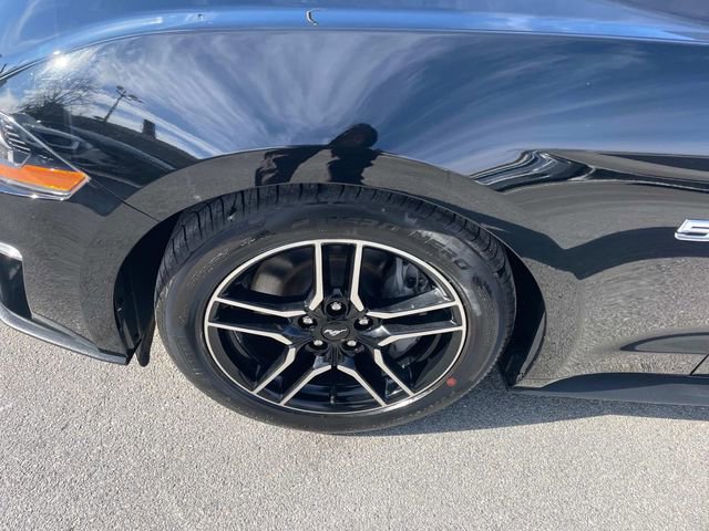 Used 2023 Ford Mustang GT Premium image 12