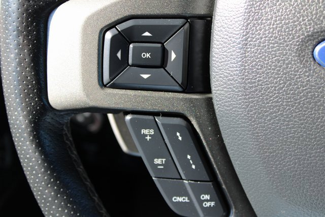 Used 2019 Ford F150 Raptor w/ Equipment Group 802A Luxury image 29