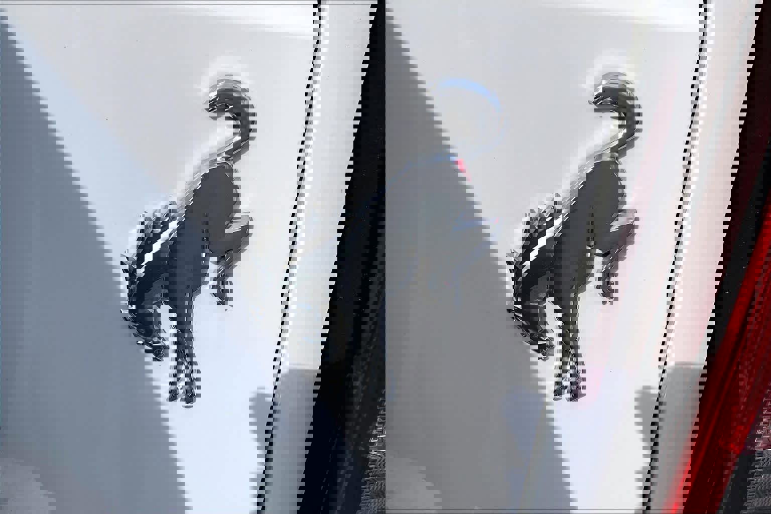 Used 2024 Ford Bronco Black Diamond image 10