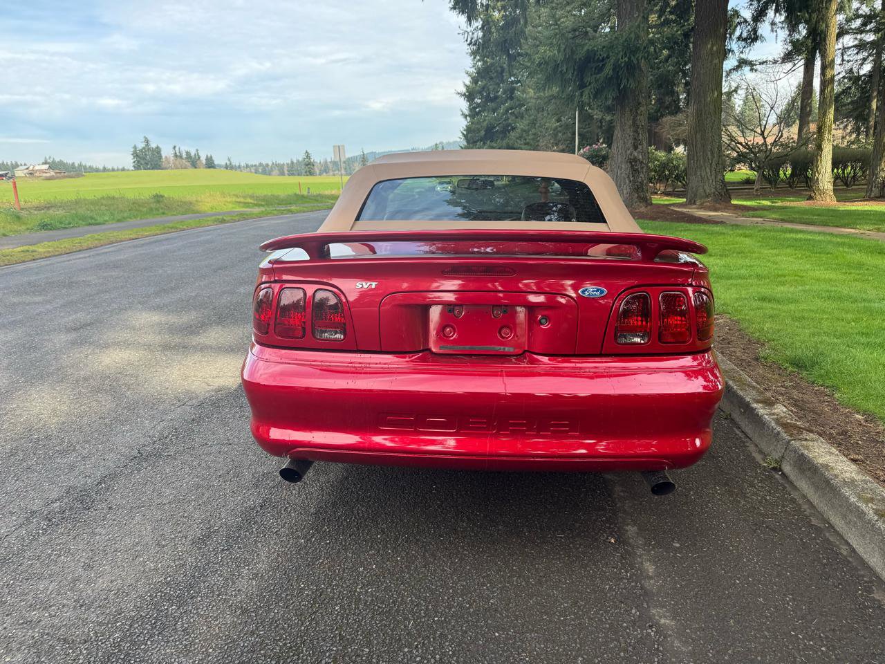 Used 1996 Ford Mustang Cobra RWD image 4