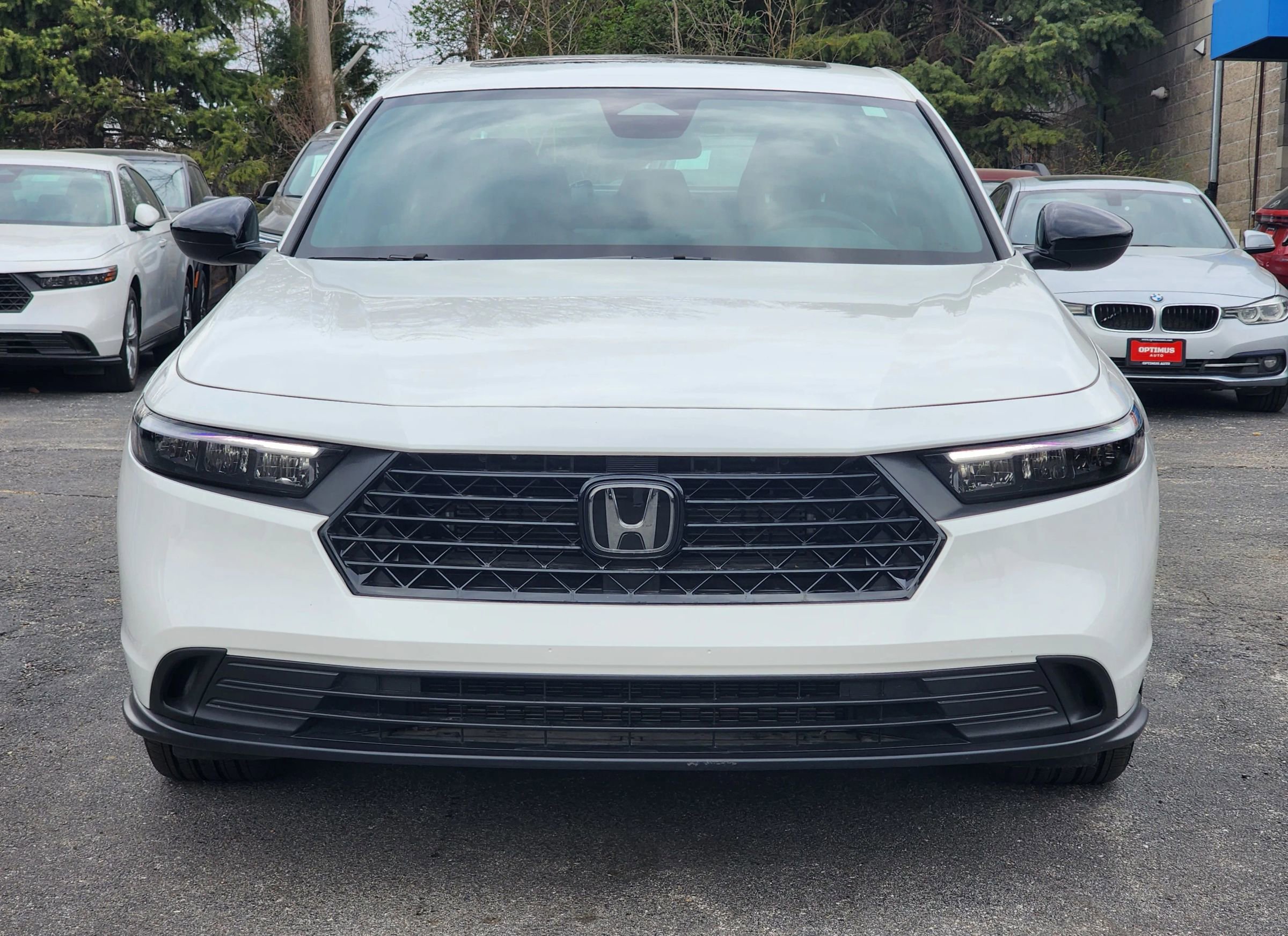 Used 2024 Honda Accord Sport image 2