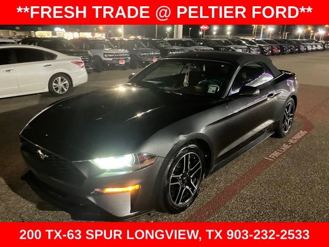 Used 2019 Ford Mustang Premium image 3