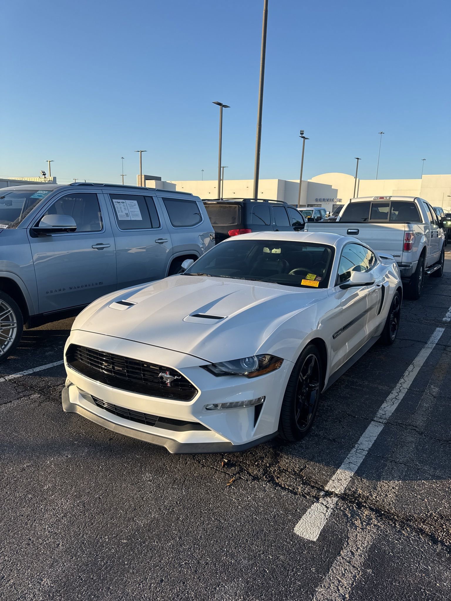 Used 2019 Ford Mustang GT Premium w/ Equipment Group 401A image 1