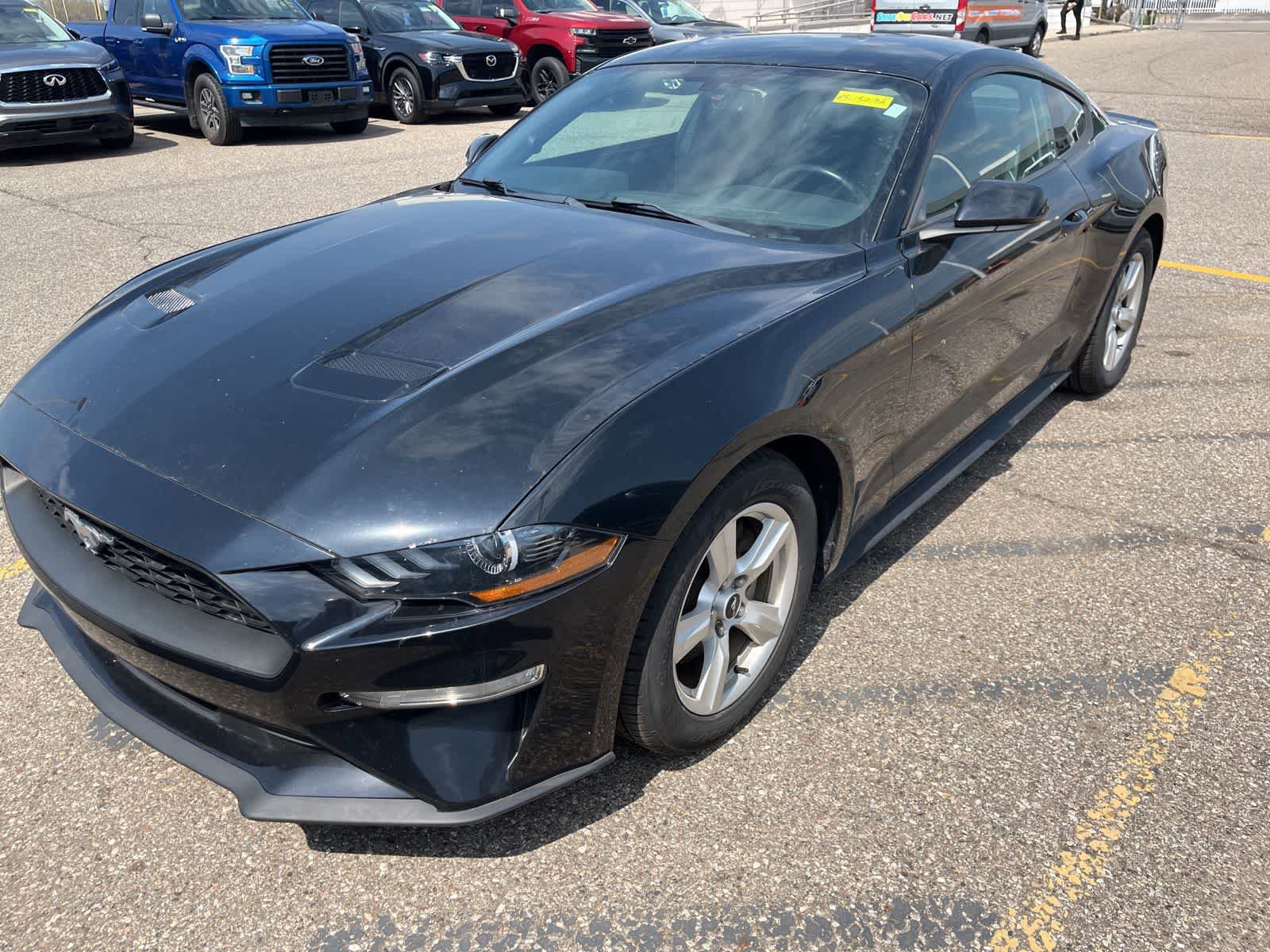 Used 2019 Ford Mustang Coupe RWD image 1