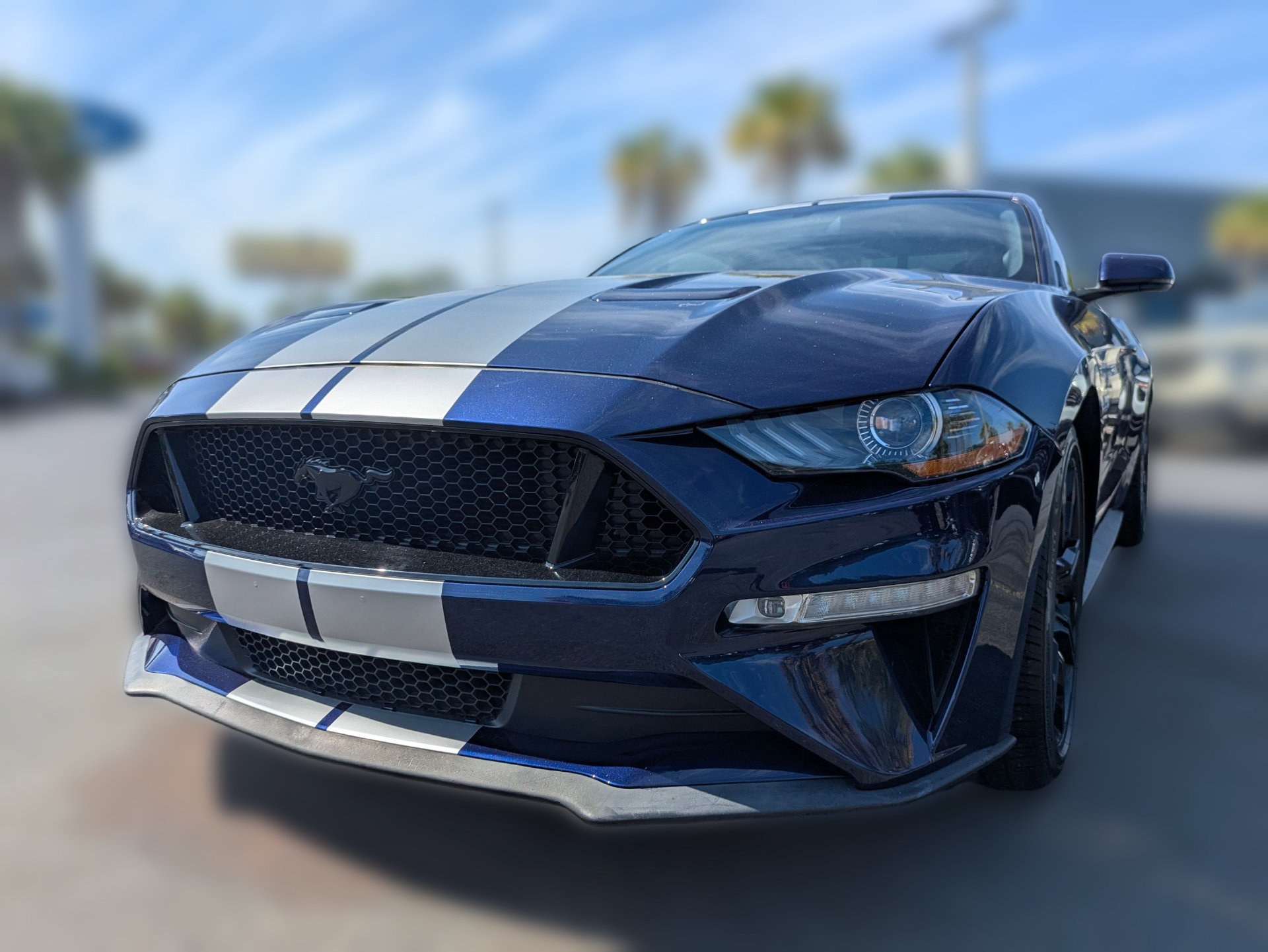 Used 2019 Ford Mustang GT Premium w/ Equipment Group 401A RWD image 9