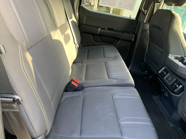 Certified 2024 Ford F150 STX w/ STX Black Appearance Package AWD/4WD image 14