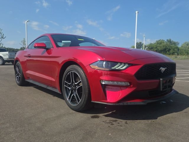 Used 2023 Ford Mustang Coupe w/ Equipment Group 101A RWD image 1