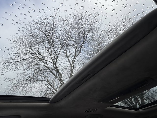 Used 2024 Kia Telluride SX Prestige image 30