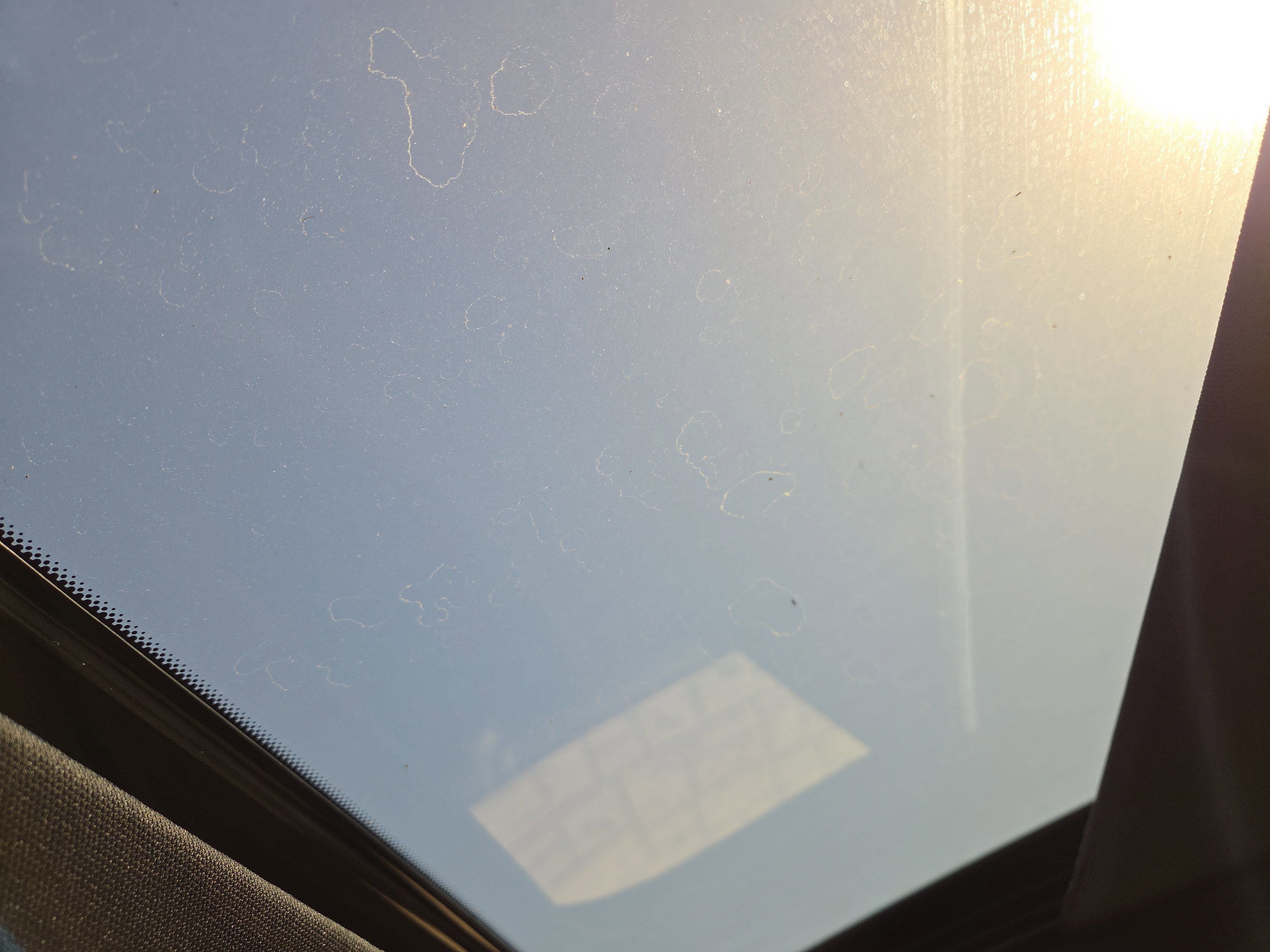 Used 2026 INFINITI QX60 Sport w/ Dark Cargo Package image 14