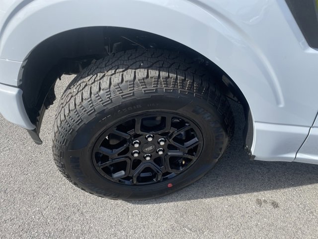 New 2025 Ford F150 STX image 14