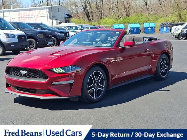 Certified 2019 Ford Mustang Convertible w/ Equipment Group 101A image 5