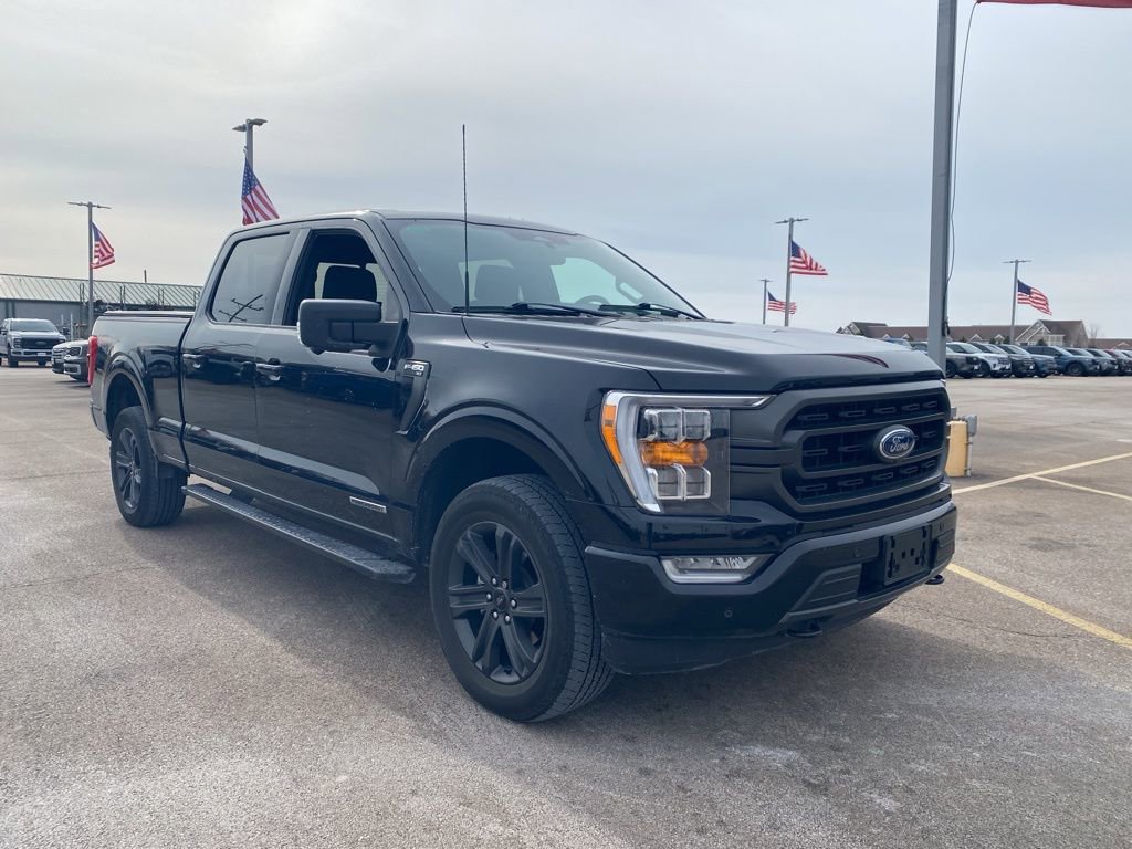 Used 2023 Ford F150 XLT w/ Equipment Group 302A High image 2