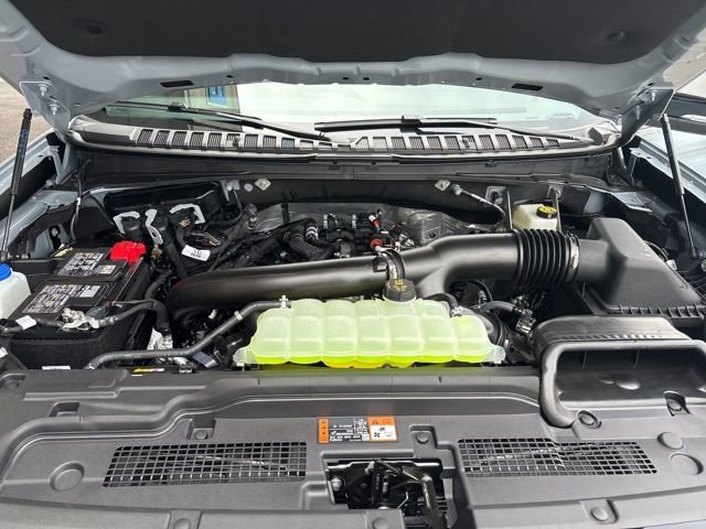 New 2026 Ford Expedition King Ranch image 4