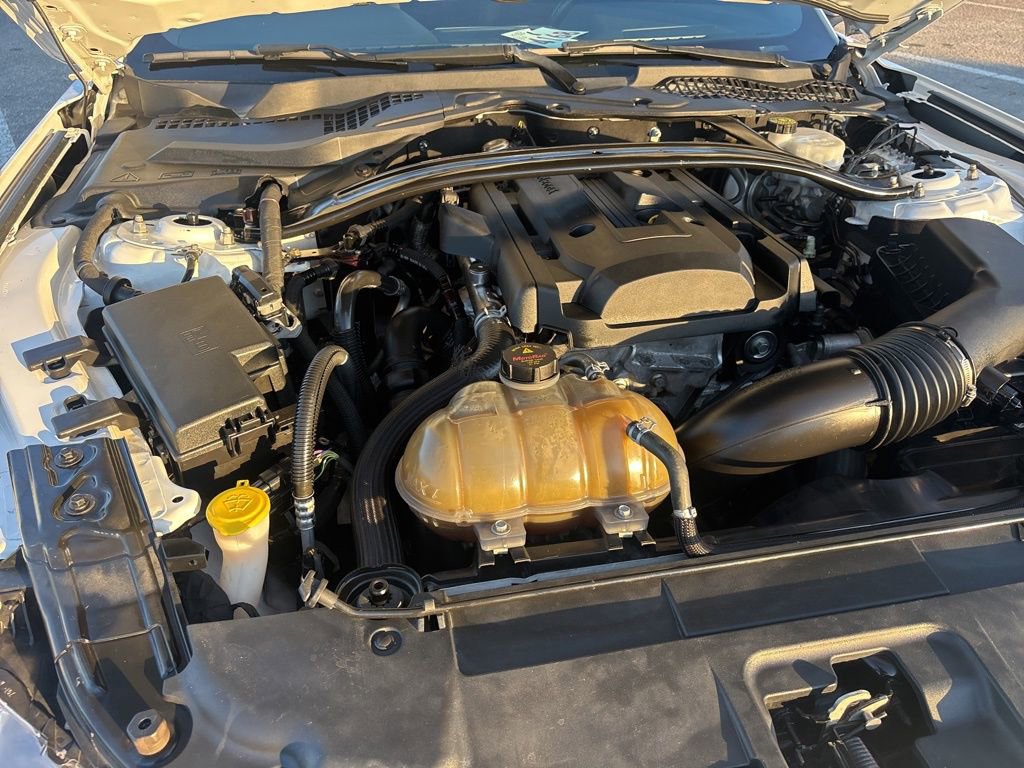 Used 2018 Ford Mustang Coupe w/ Ecoboost Performance Package image 15