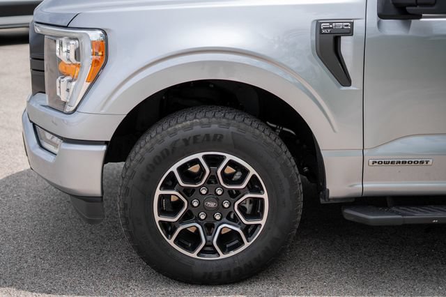 Used 2023 Ford F150 XLT w/ Equipment Group 302A High AWD/4WD image 10