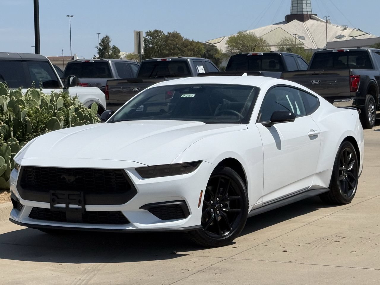 New 2026 Ford Mustang Premium RWD image 3