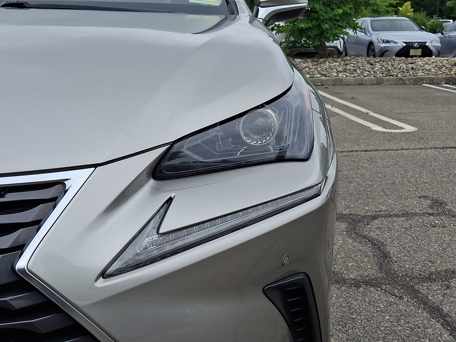 Used 2021 Lexus NX 300h AWD w/ Premium Package image 9
