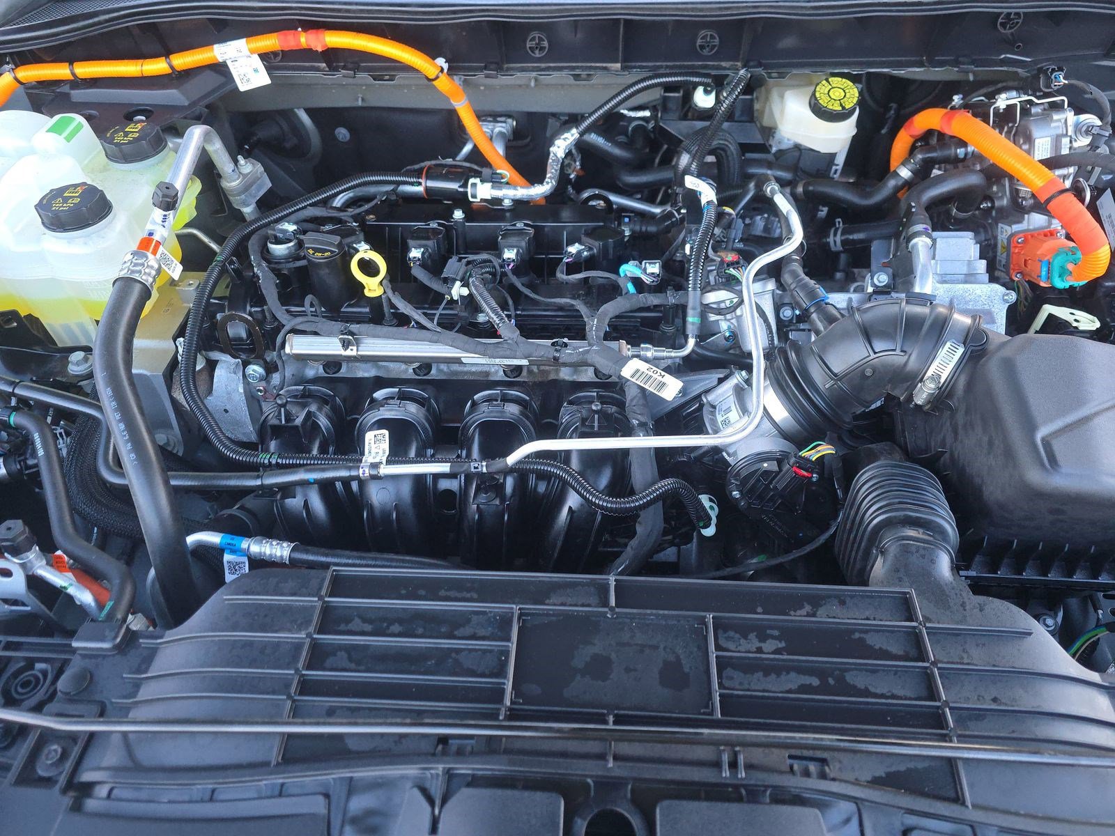 Used 2025 Ford Escape ST-Line Elite w/ Tech Pack #1 image 20