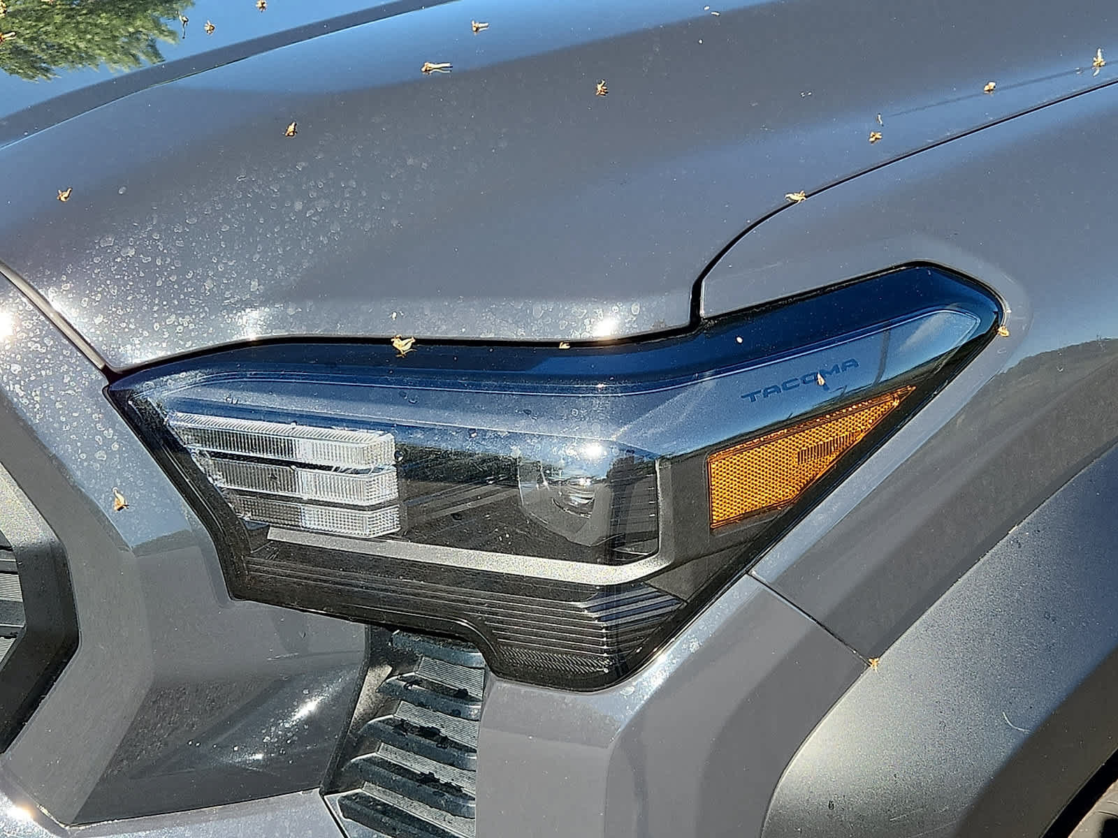Certified 2025 Toyota Tacoma TRD Off-Road AWD/4WD image 10