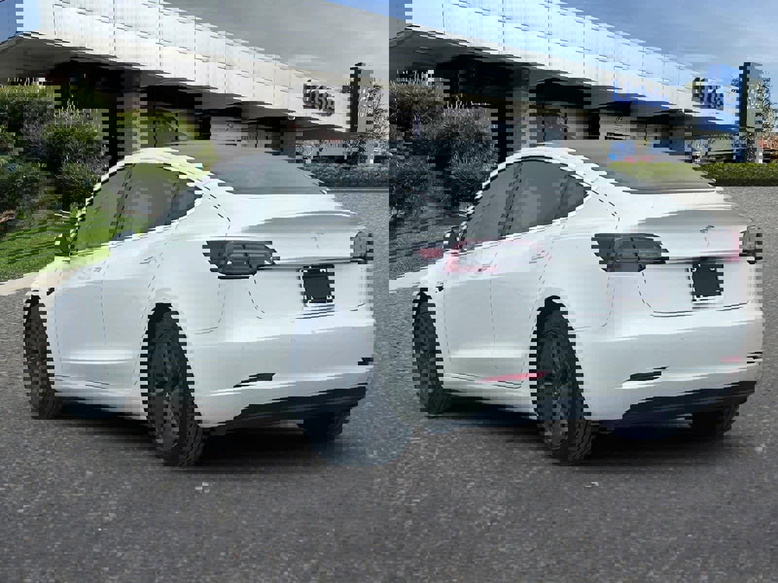 Used 2019 Tesla Model 3 Standard Range Plus image 6