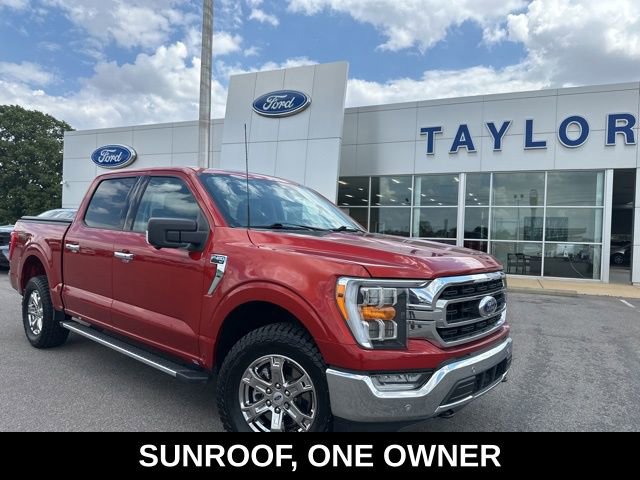 Used 2023 Ford F150 XLT w/ Equipment Group 302A High AWD/4WD image 1
