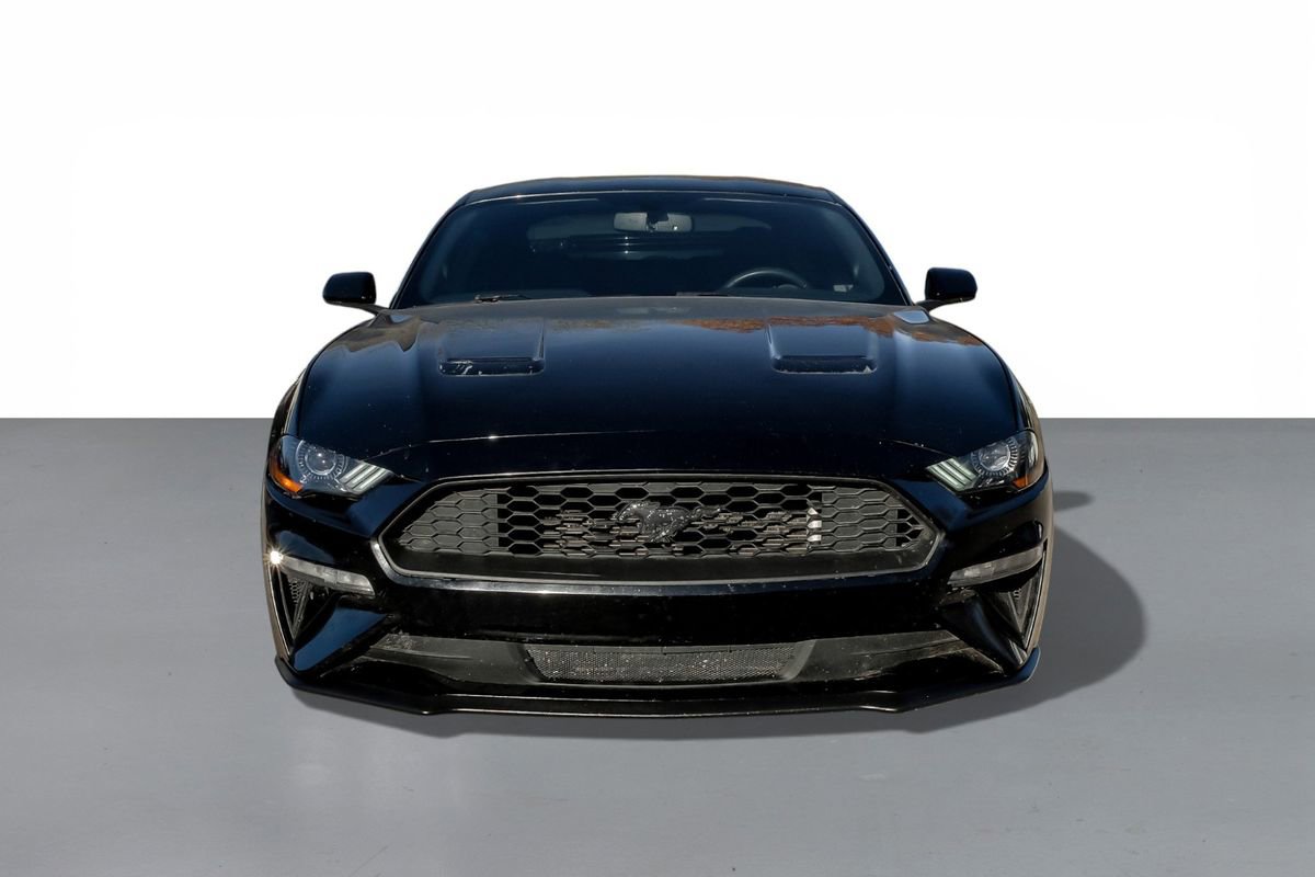 Used 2019 Ford Mustang Coupe image 3