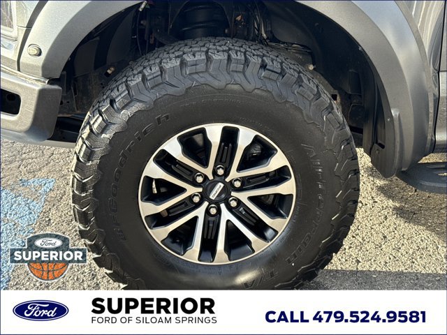 Used 2019 Ford F150 Raptor w/ Raptor Hood Graphics Package image 14