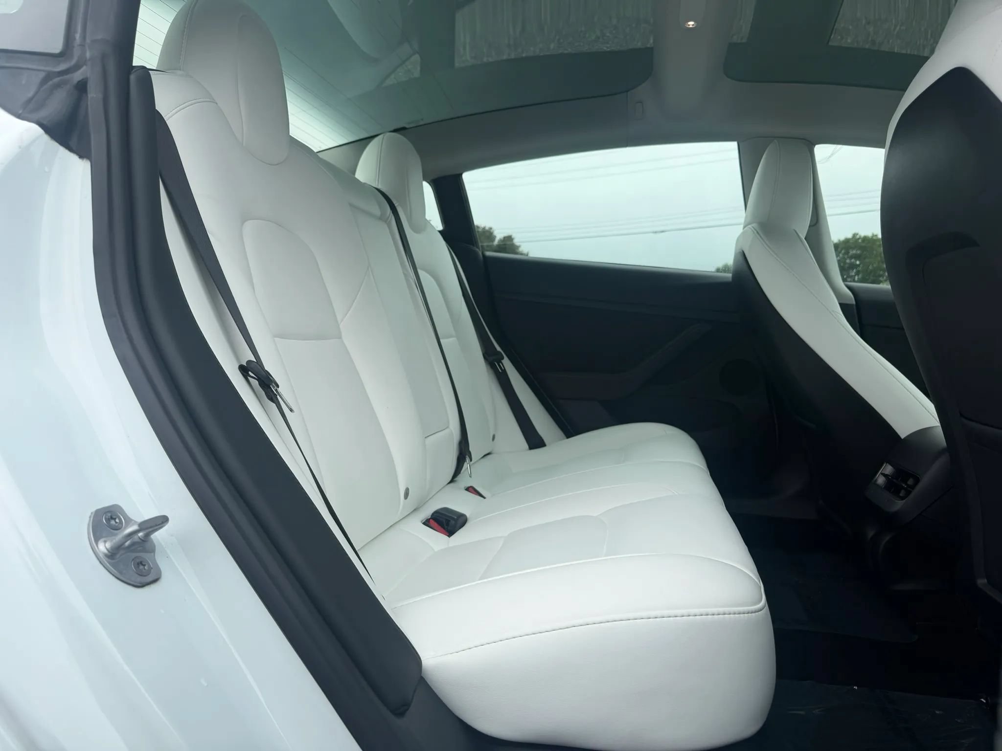 Used 2023 Tesla Model 3 Standard Range RWD image 51