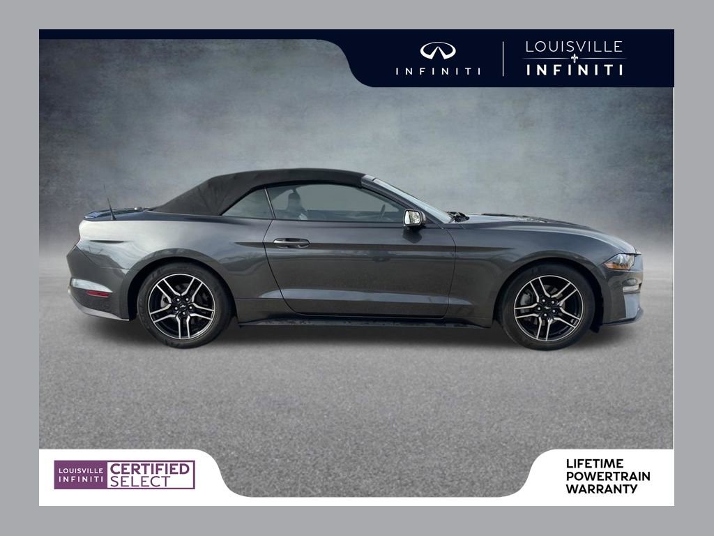 Used 2020 Ford Mustang Premium image 1