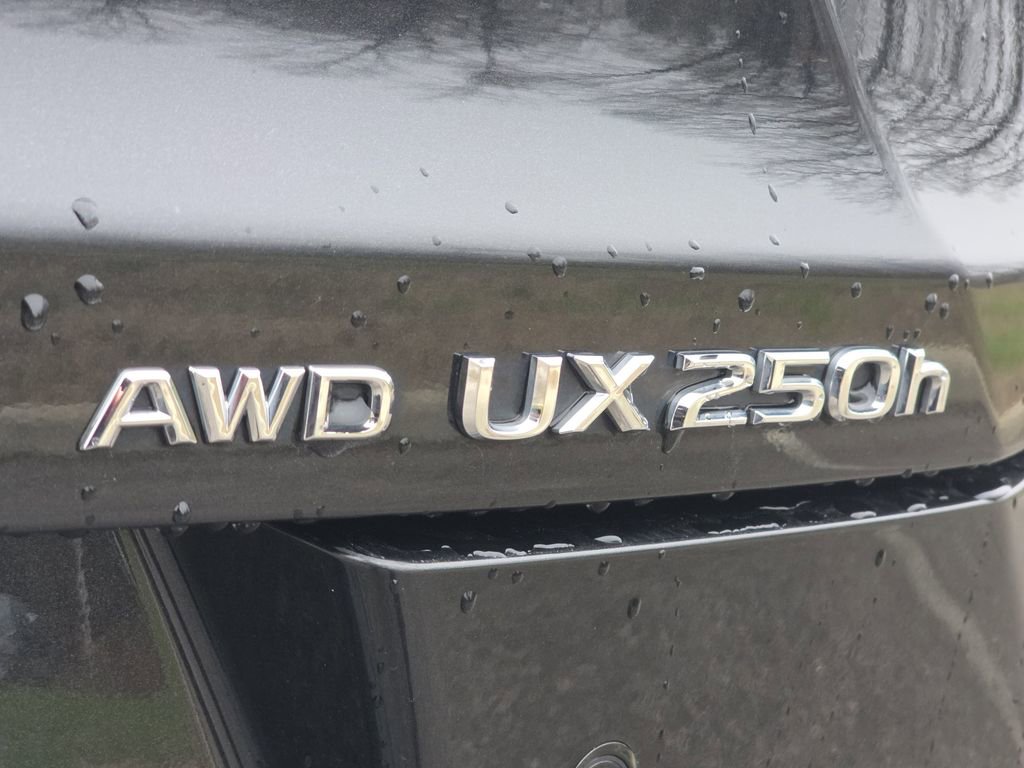 Certified 2024 Lexus UX 250h AWD w/ Premium Package image 34
