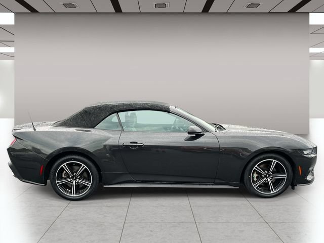 Used 2024 Ford Mustang Premium RWD image 2
