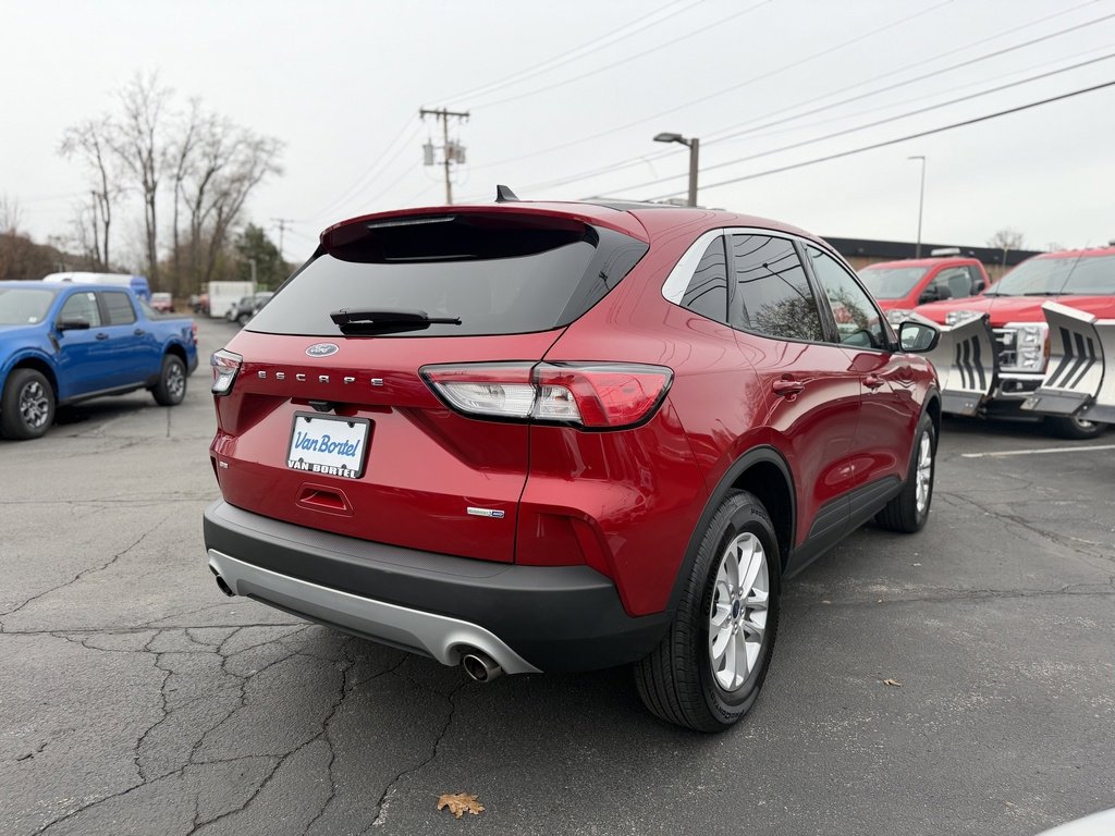Used 2020 Ford Escape SE image 7